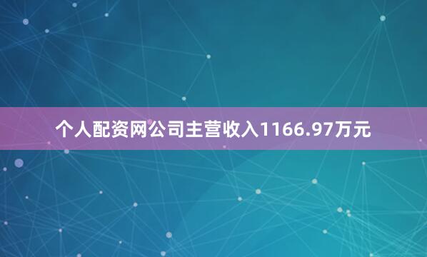 个人配资网公司主营收入1166.97万元