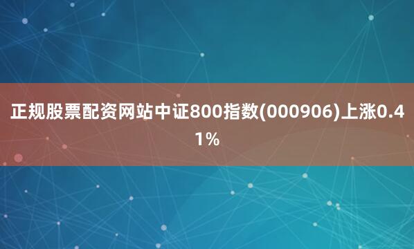 正规股票配资网站中证800指数(000906)上涨0.41%