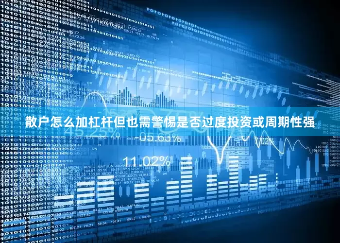 散户怎么加杠杆但也需警惕是否过度投资或周期性强